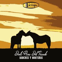 Para Que se Quiere - Dueto Aires Del Pasado
