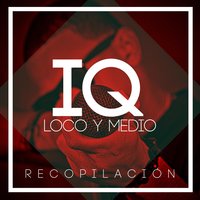La Super Cotorra - IQ