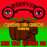 Ice Water Dub - Niney The Observer