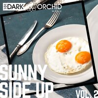 Sunbeam In My Room - 101 Dark Orchid Music