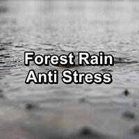 Distant Rain and Nature Sounds To Repeat for 24 Hours - Music for Sleep & Rain Sounds For Sleep & Deep Sleep Relaxation