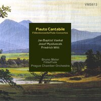 Flute Concerto in G Major, Op. 7: III. Rondo - The Prague Chamber Orchestra, Oldrich Vlcek, Bruno Meier & Oldřich Vlček & Bruno Meier & The Prague Chamber Orchestra