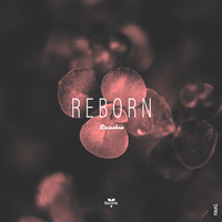 Reborn - Rainshow & NMG