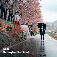 Rain Showers - The Nature Soundscapes & Rain Sounds ACE & The Rain Library
