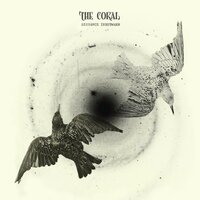 She Runs The River - The Coral