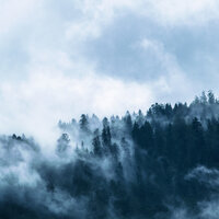 Music for Meditation and Relaxation - Nature Sounds for Sleep and Relaxation & Help Me Sleep & The Relaxing Sounds of Swedish Nature