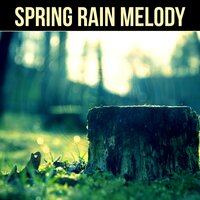 Walking in the Rain - Healing Water Sounds