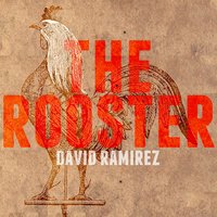 Fire of Time - David Ramírez