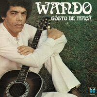 Anoiteceu - Wando