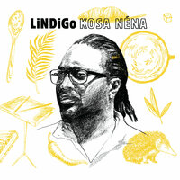 Bon Tizane - Lindigo