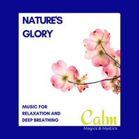 Smooth Therapy - Relaxing Minds