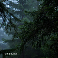 Rain: Rainforest Meditation Sounds, Forest Sounds, Bird Sounds, Pt.10 - The Rain Library & Sounds of Nature Noise & Epic Soundscapes