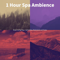Alluring Spa Days - 1 Hour Spa Ambience