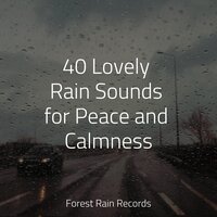 Fire Kindling - Classical Study Music & Pro Sound Effects Library & Fresh Water Sounds for Inner Peace
