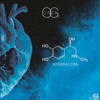 Adrenalina - Gaza OG & Hakin