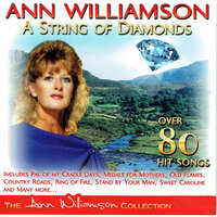 Let Your Love Flow / If I Said You Had a Beautiful Body / I Just Wanna Dance with You - Ann Williamson