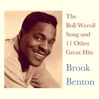 It's My Lazy Day - Brook Benton