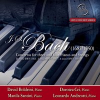 Concerto in C Major BWV1064: I. Allegro - Dorotea Cei & David Boldrini & David Boldrini, Dorotea Cei, Manila Santini, Leonardo Andreotti & Leonardo Andreotti & Manila Santini & Johann Sebastian Bach
