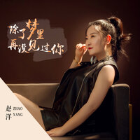 除了梦里再没见过你 - 赵洋