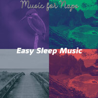 Dashing Ambiance for Resting - Easy Sleep Music