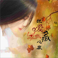 把爱藏心底 - 枫舞