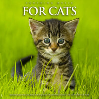 Pet Music For Cats - Music For Cats & Cat Music & Music For Pets