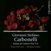 Sonata da camera No. 2 in D Minor: III. Andante - Bojan Čičić & The Illyria Consort