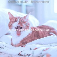Моменты (Одинокие кошки) - Музыка для кошек вселенная