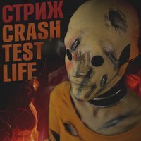 Красивые жесты - Стриж