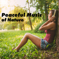Magic Touch of Water - Sounds of Nature White Noise for Mindfulness