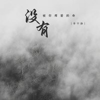 没有被你疼爱的命 - 李宁静