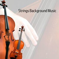 Violin Room - Violin Cello Zone