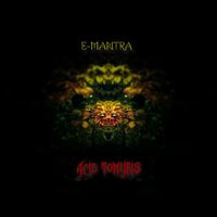 Acid Tomyris - E-Mantra
