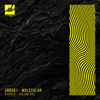 Rolling Ride - Molecular