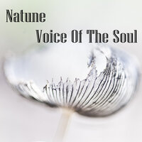 Puls - Natune