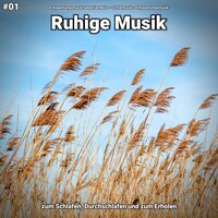 Hintergrundmusik - Entspannungsmusik & Schlafmusik & Entspannungsmusik Sebastian Noiro