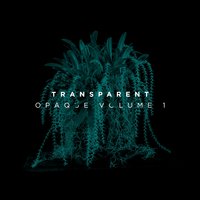 Snap - Transparent