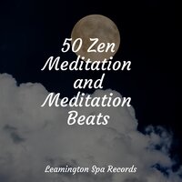 Music for Meditation - Massage & Ambient Arena & Ambientalism