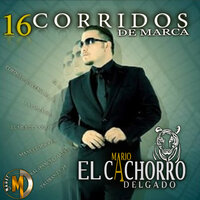 Mi General Coronel - Mario "El Cachorro" Delgado