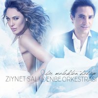 Bir Melekten Hediye - Ziynet Sali & Behzat Gerçeker