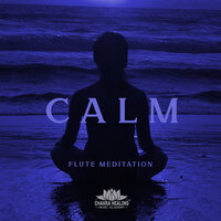 Soothing Flute Zone - Chakra Healing Music Academy