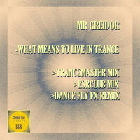 What Means To Live In Trance - Mr Greidor & Dance Fly FX
