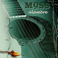 Amber Rain - Moss