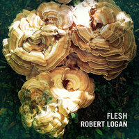 Glad Centipede - Robert Logan