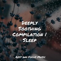 Beach-Side Tranquility - Relaxing Music Therapy & Mother Nature Sound FX & Nature Sounds Nature Music