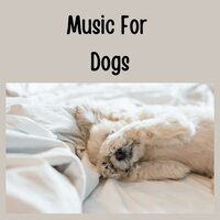 Classical Music for Pets - Music for Dogs & Music for Dogs Peace & Relaxing Puppy Music & Calm Pets Music Academy