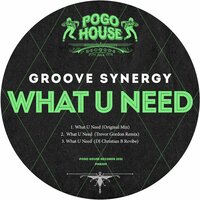What U Need - Groove Synergy & DJ Christian B