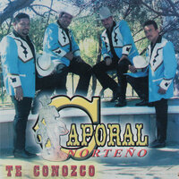 Que Me Hace Recordarte - Caporal Norteño
