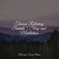 Joining the Peace - Exam Study Classical Music Orchestra & Sounds of Nature White Noise for Mindfulness Meditation and Relaxation & Relax Meditation Sleep