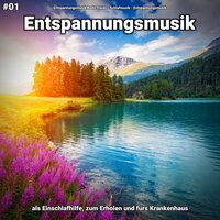 Erfreuliche Andeutung - Entspannungsmusik & Schlafmusik & Entspannungsmusik Bodo Steier